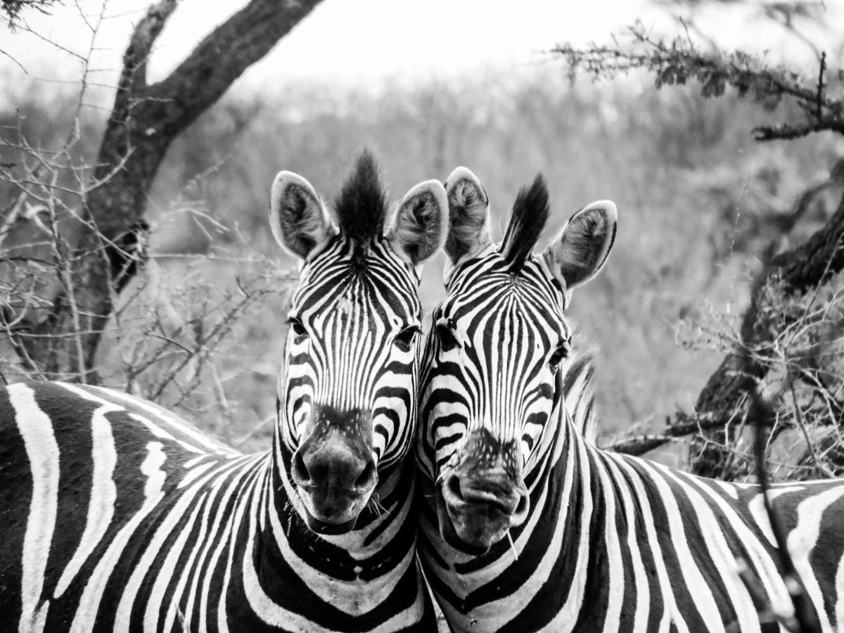 African Spirit Game Lodge 음쿠제 외부 사진