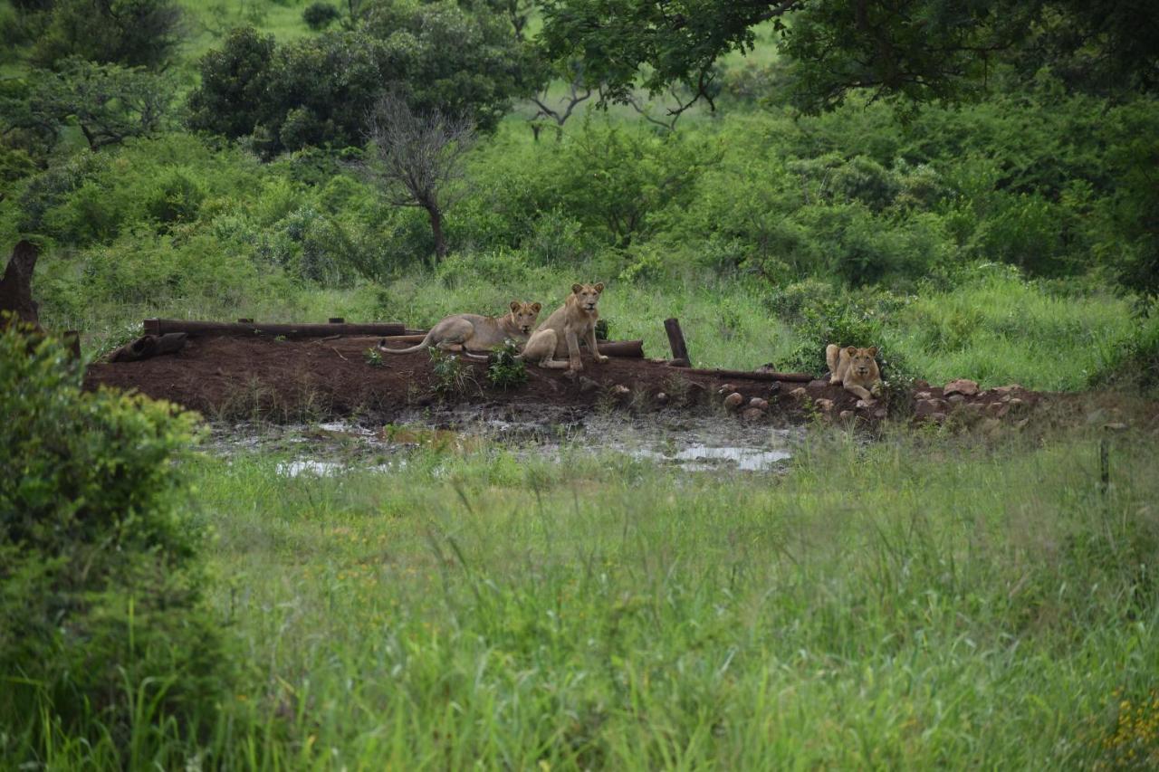 African Spirit Game Lodge 음쿠제 외부 사진